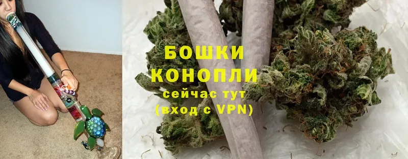 наркотики  Володарск  Шишки марихуана SATIVA & INDICA 